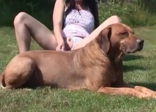 Stunning hottie opens her crack for a doggy