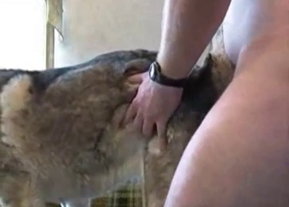 First tryout of a sex-addicted zoophile