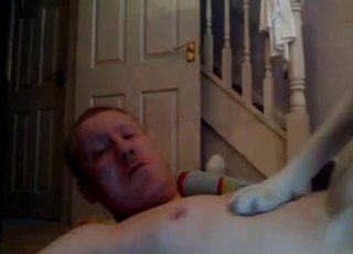 Perfect small doggy in bestiality XXX action