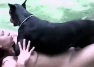 Hound in amazing and filthy bestiality