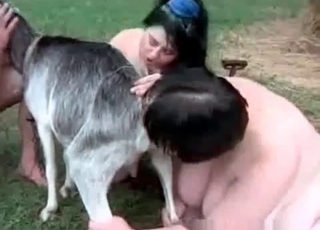Rimjob for my playful young doggy