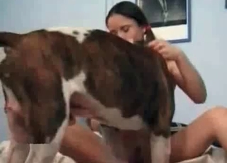 Sexy spotted doggy in amazing bestiality XXX