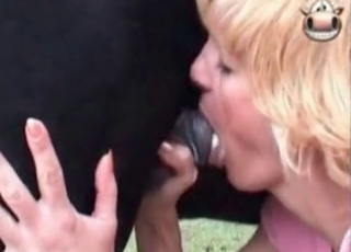 Dirty as fuck animal sex in close-up