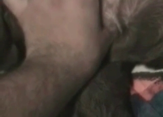 Shoving my finger in animal tight anus