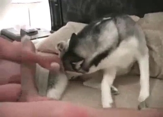 Stunning doggy fucked hard in missionary pose