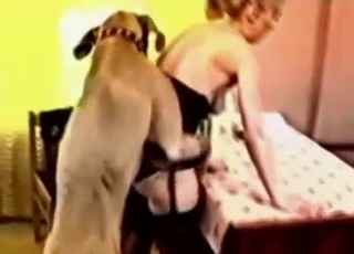 Stunning chick and dog having bestiality XXX