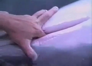 Playing with a massive dick of a dolphin