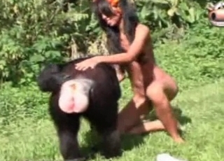 Sexy monkey in amazing exotic bestiality XXX