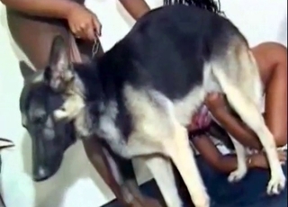 Bedroom sex with a German shepherd