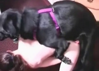 Black doggy in hardcore amateur bestiality