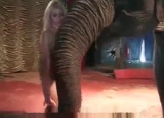 Busty naked goddess and a big elephant