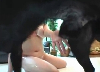 Sweet black doggy licking her wide-opened hole